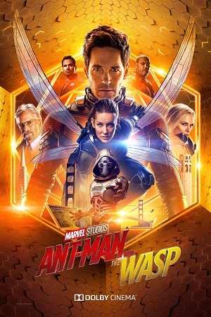 Download Ant-Man and the Wasp (2018) IMAX WebRip [Hindi + Tamil + Telugu + English] ESub 480p 720p 1080p