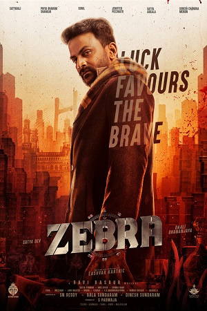 Download Zebra (2024) WebRip [Tamil + Telugu] 480p 720p