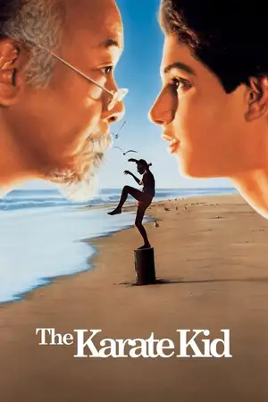 Download The Karate Kid Part 1 (1984) BluRay [Hindi + Tamil + Telugu + English] ESub 480p 720p