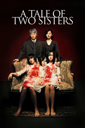 Download A Tale of Two Sisters (2003) BluRay [Hindi + Tamil + Telugu + English] ESub 480p 720p